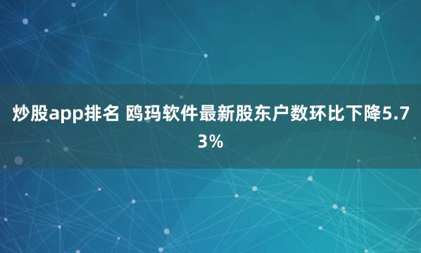 炒股app排名 鸥玛软件最新股东户数环比下降5.73%