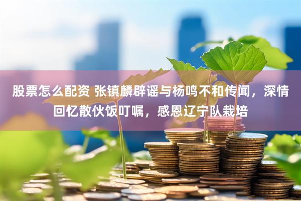 股票怎么配资 张镇麟辟谣与杨鸣不和传闻，深情回忆散伙饭叮嘱，感恩辽宁队栽培