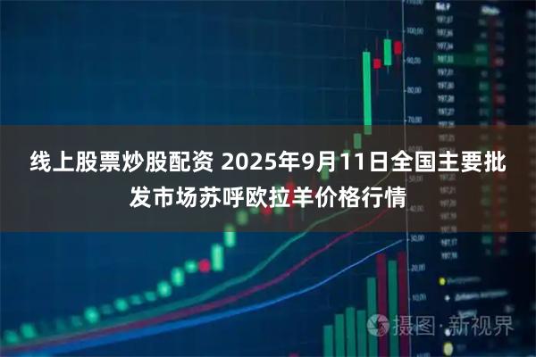 线上股票炒股配资 2025年9月11日全国主要批发市场苏呼欧拉羊价格行情