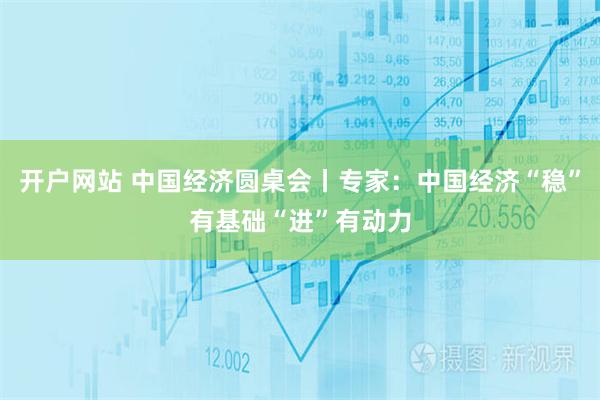 开户网站 中国经济圆桌会丨专家：中国经济“稳”有基础“进”有动力